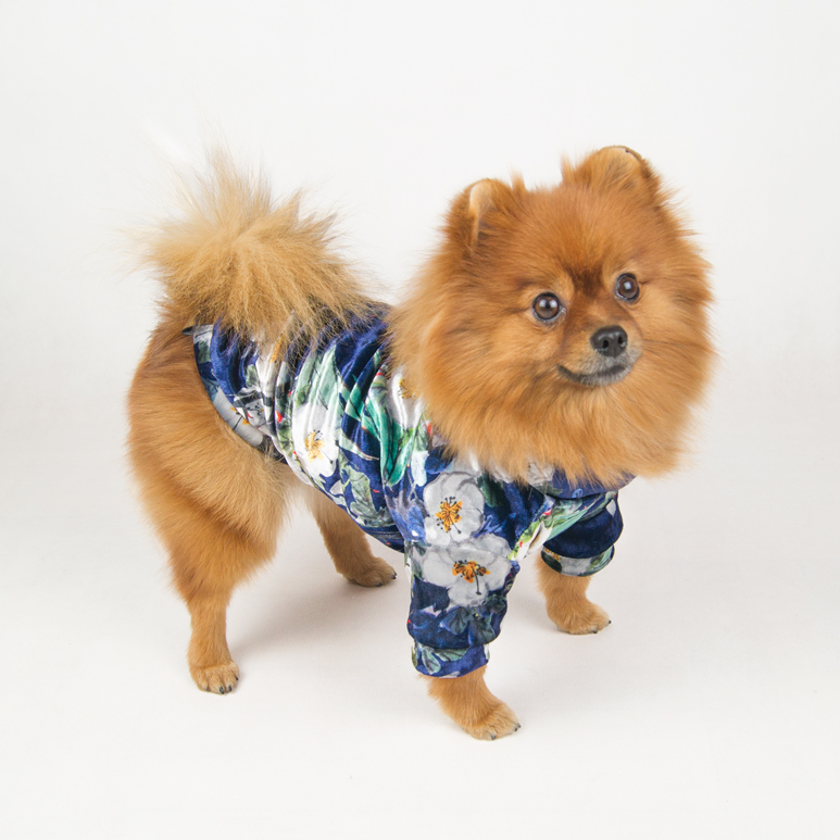 Welurowa bluza dla psa | Blue Flowers zdjęcie 2