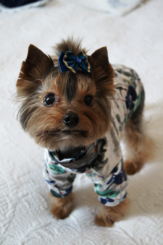 SAMPLE SALE - Bluza dla Psa | Silver Flowers - M zdjęcie 3