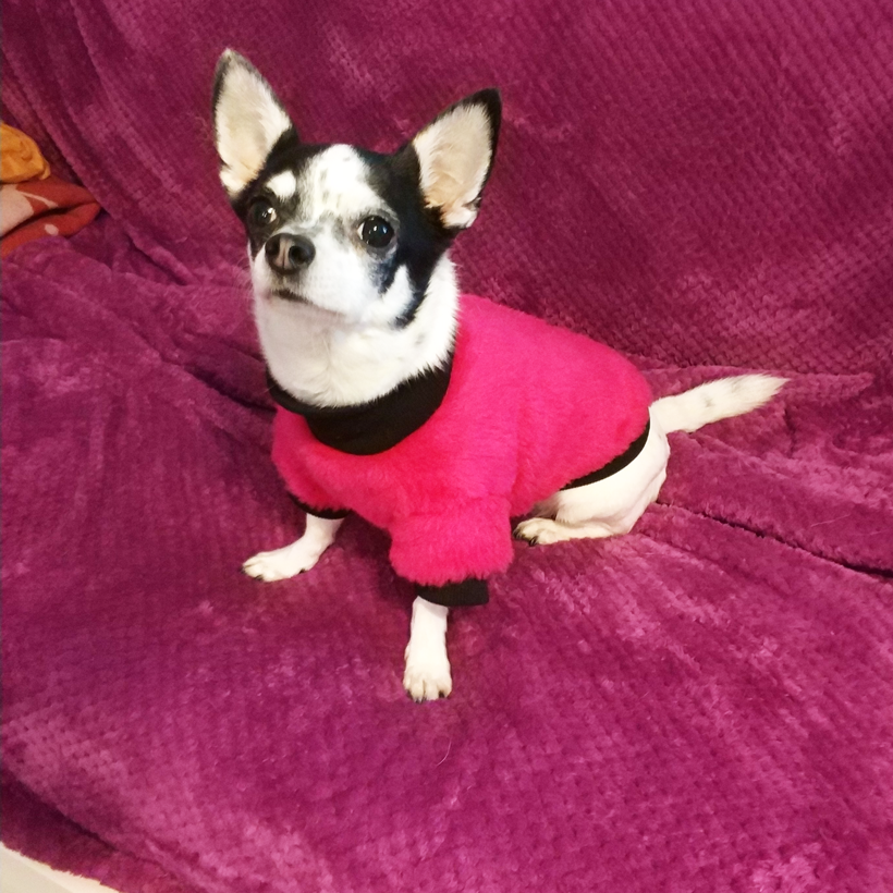Różowe futerko dla psa |  Furry Pinky zdjęcie 6