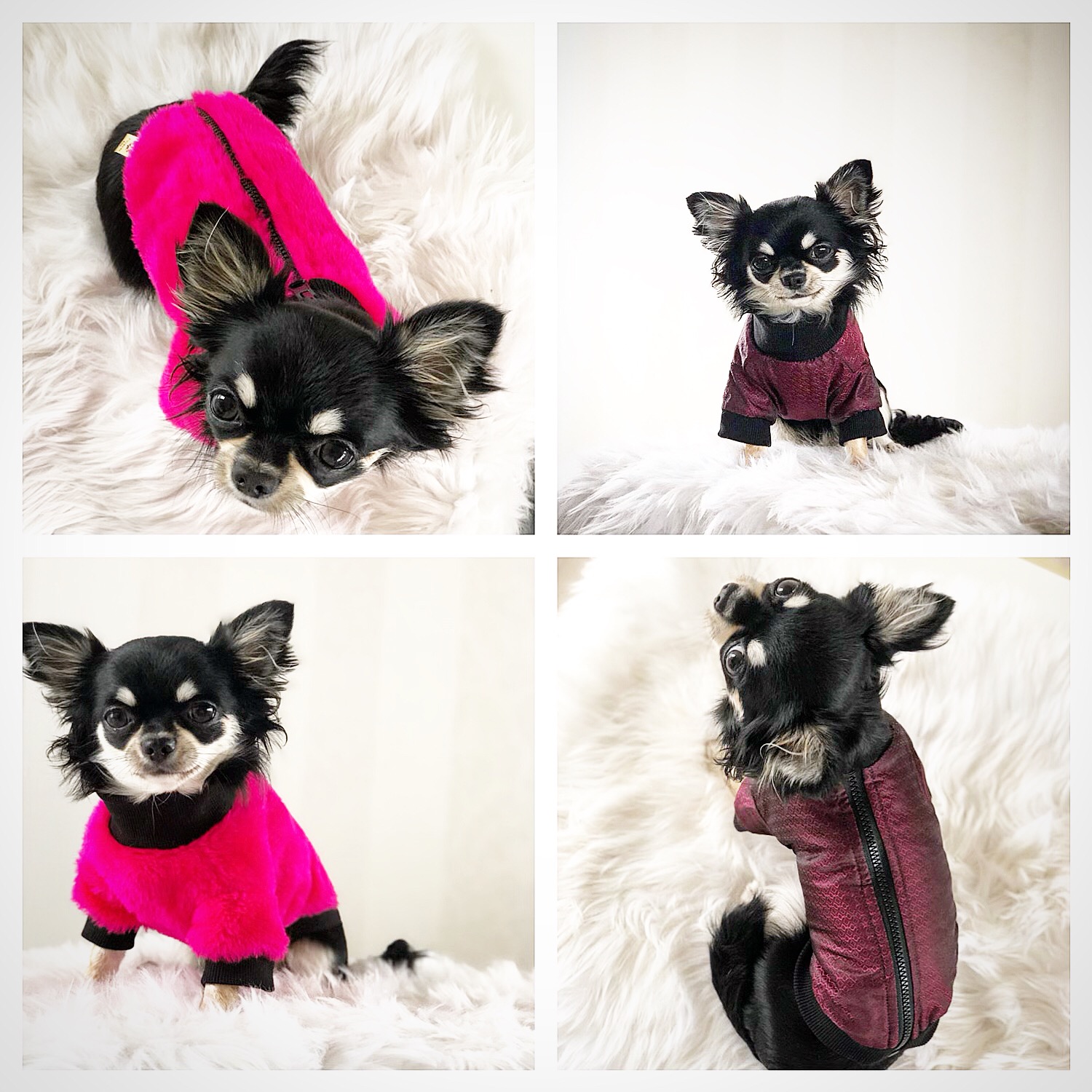 Różowe futerko dla psa |  Furry Pinky zdjęcie 3