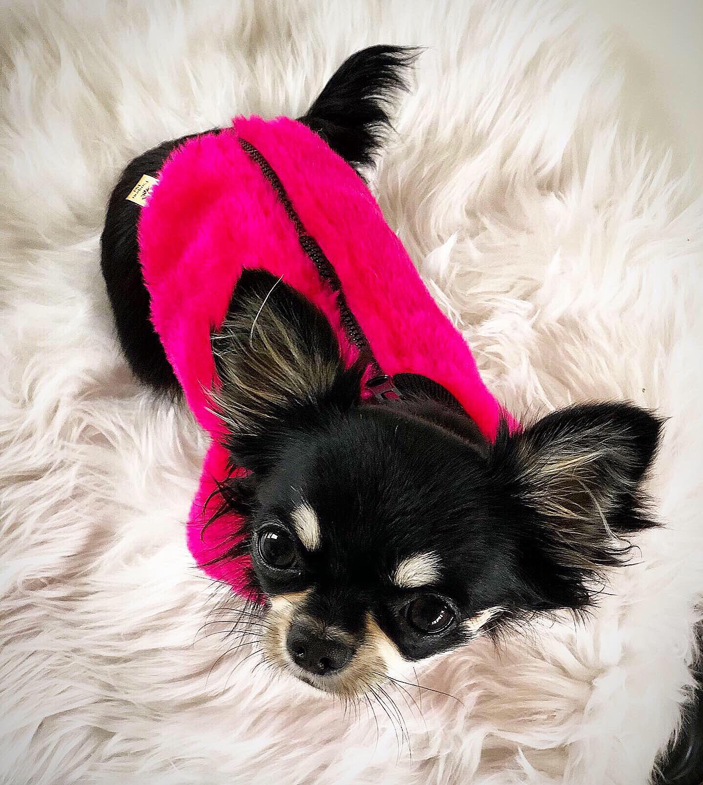 Różowe futerko dla psa |  Furry Pinky zdjęcie 2