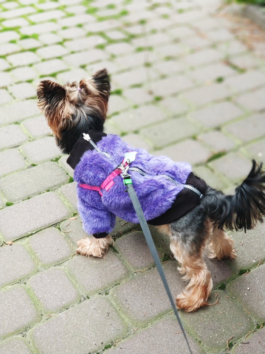 Fioletowe futerko dla psa |  Furry Violet zdjęcie 4