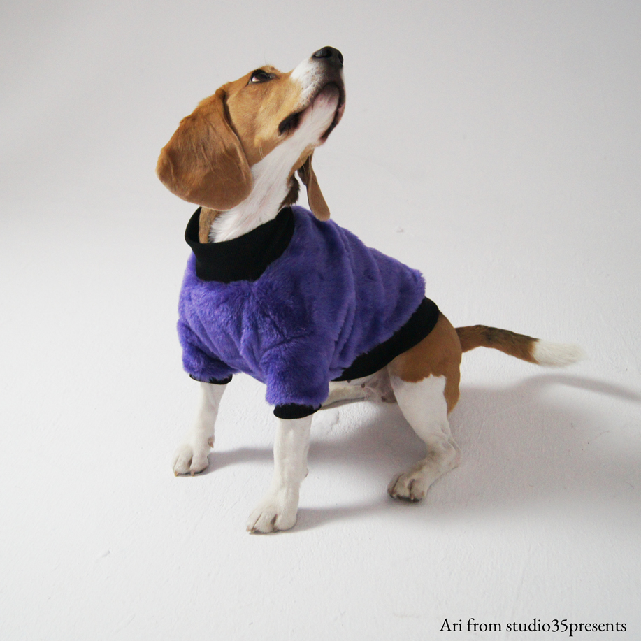 Fioletowe futerko dla psa |  Furry Violet zdjęcie 1