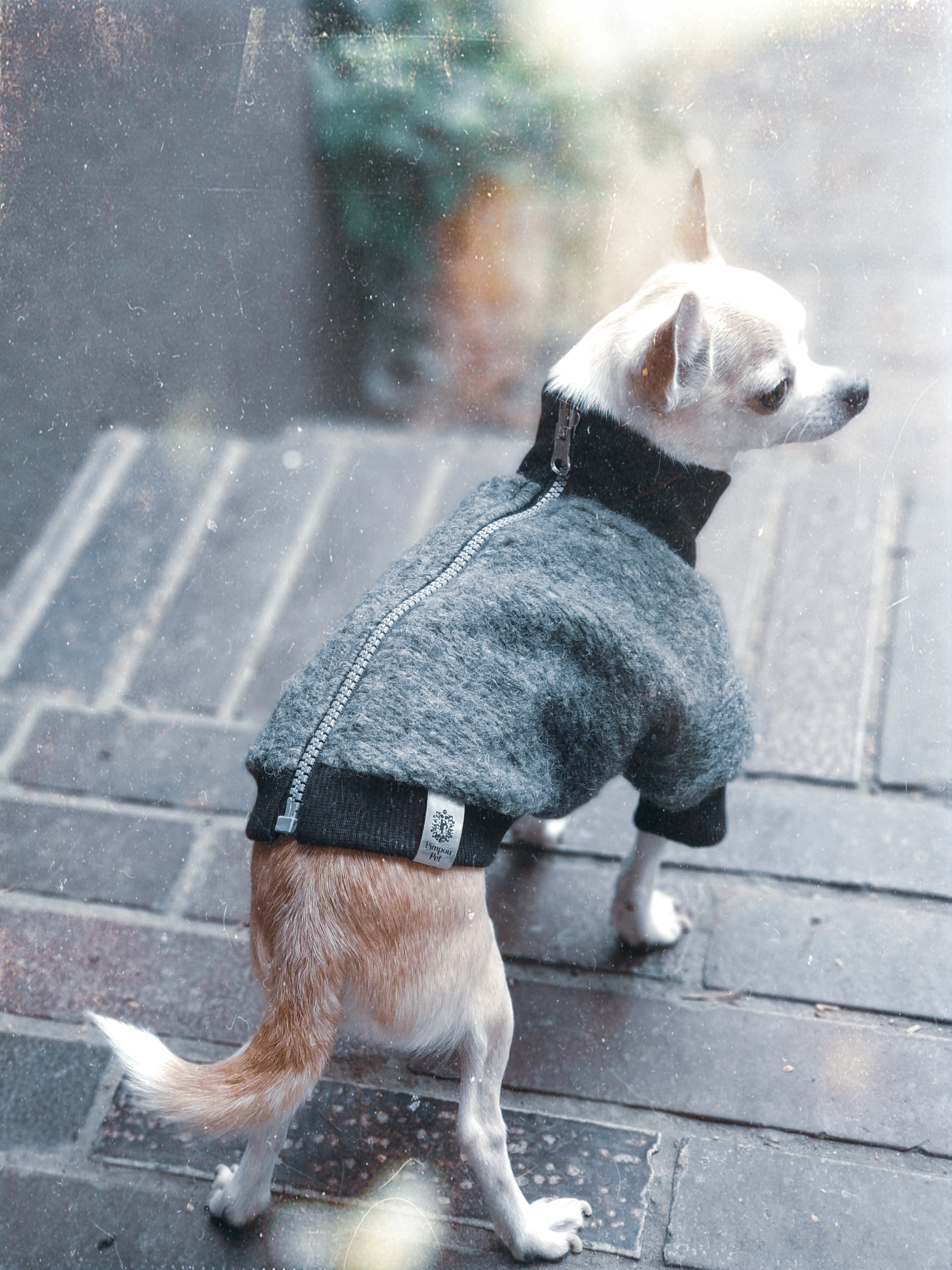 Szaro srebrna kurtka dla Psa | Woolly! Stone zdjęcie 1