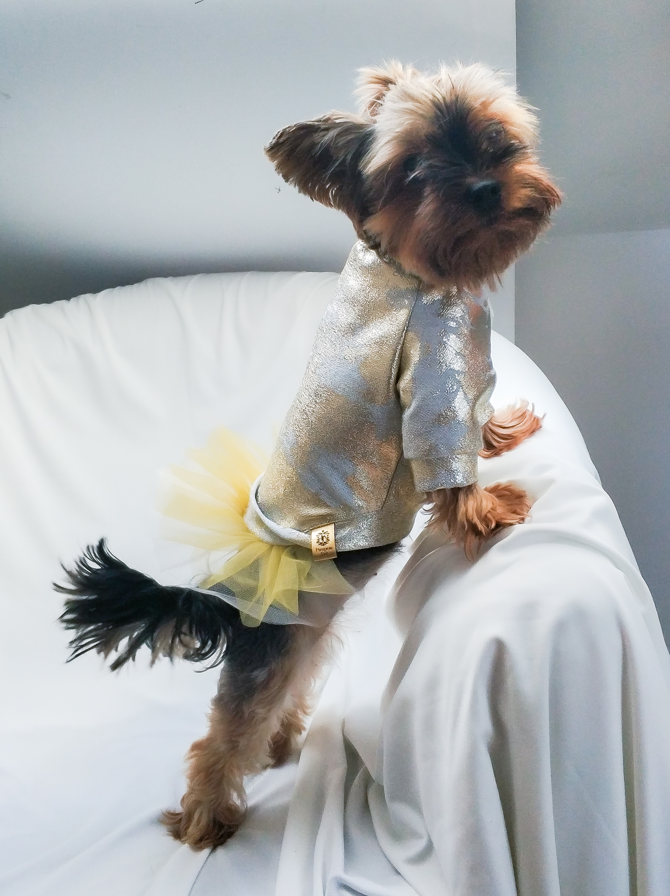 Sukienka dla psa  - yorka, chihuahua, maltańczyka | złota LALA zdjęcie 4