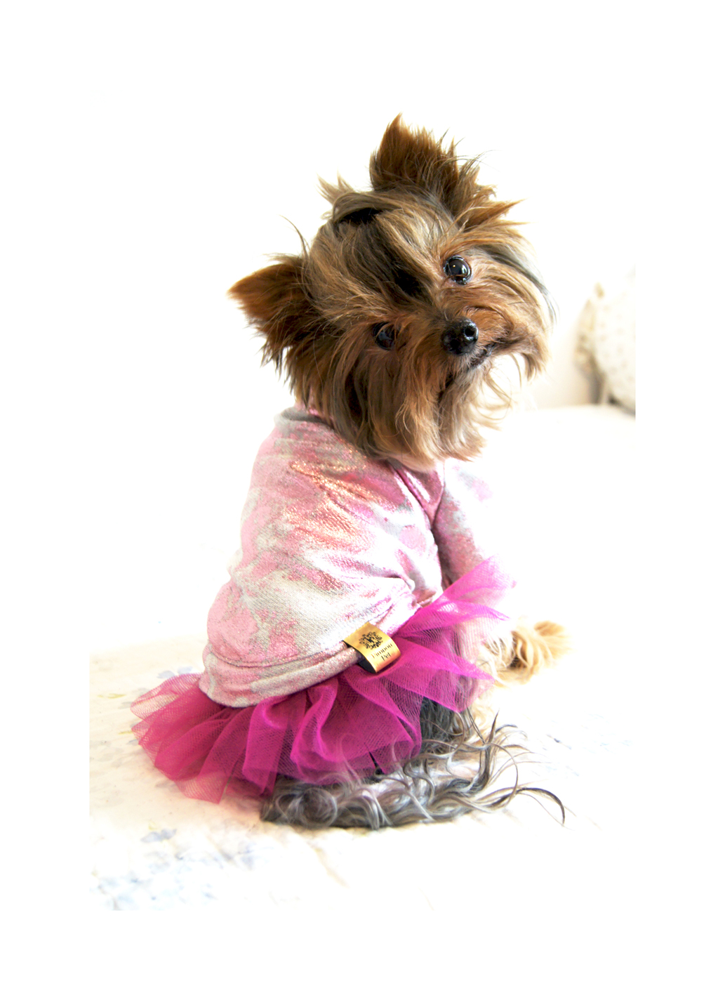 Sukienka dla Yorka, Chihuahua, Maltańczyka - LALA różowa zdjęcie 2