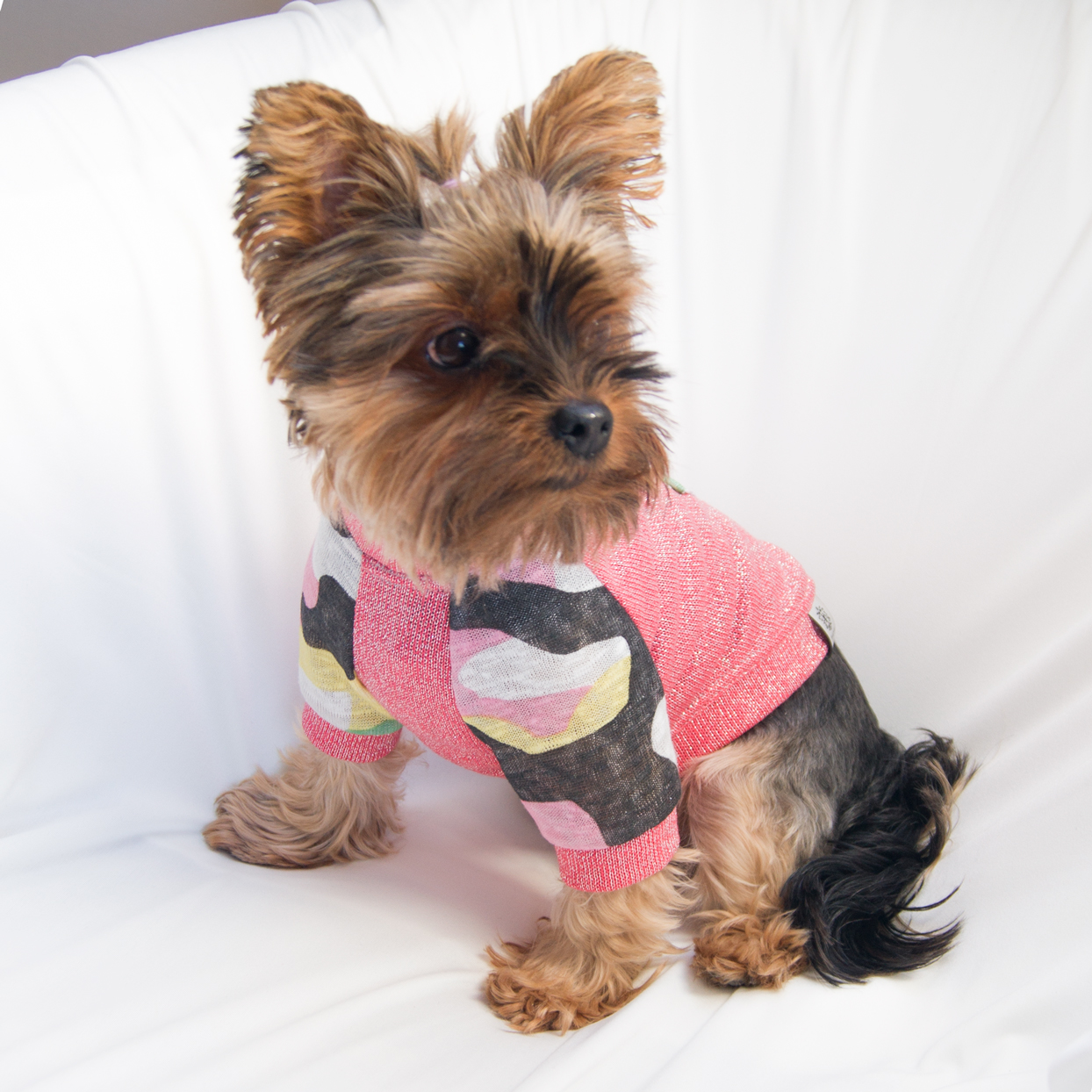 Sweterek dla psa - XS - | PasteLove zdjęcie 2