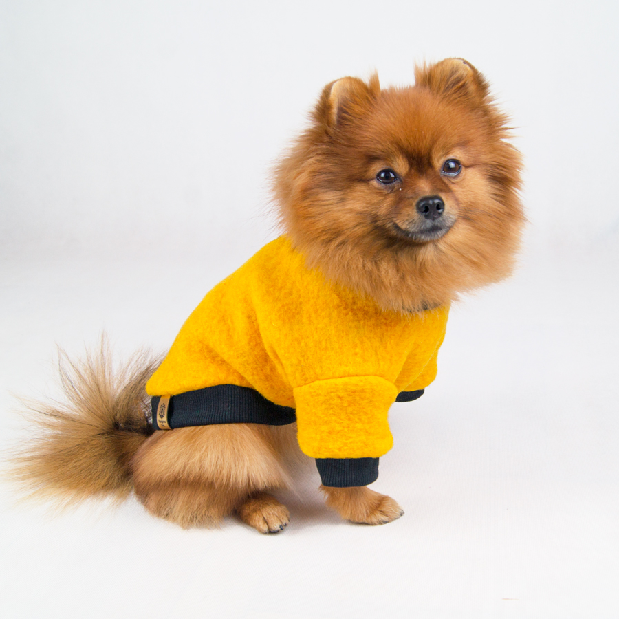 Żółta kurtka dla psa | Woolly! Sunny BLACK zdjęcie 1