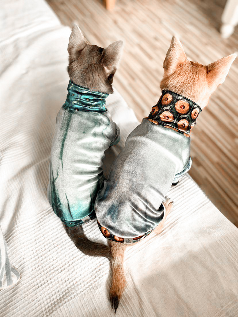 SAMPLE SALE - Bluza dla psa - M - | Happy Green zdjęcie 9