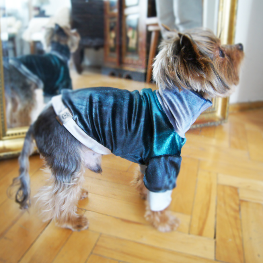SAMPLE SALE - Bluza dla psa - M - | Happy Green zdjęcie 7